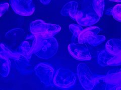 -沈阳海洋探索中心