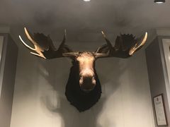 -Abercrombie & Fitch(天环广场店)