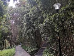 -龙头寺公园