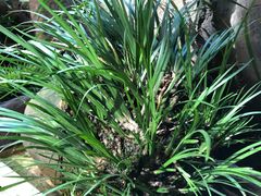 -三峡古玩城(泰古广场店)