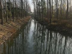 -合肥滨湖国家森林公园