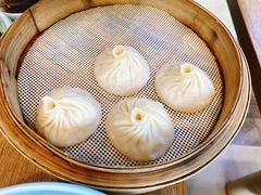 鲜肉小笼汤包-一品小笼(金融街店)