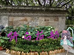 -上海醉白池公园
