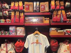 -九又四分之三站台哈利波特商店