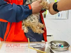 -伟伟宠物医院·CT影像中心·瑞派犬猫综合性门诊(汉口总院)