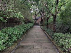 -磁器口古镇