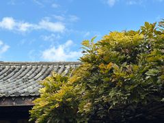 -朱家花园