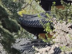 -龙华寺