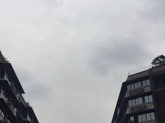 -泡桐树街