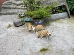 -乐和乐都动物主题乐园
