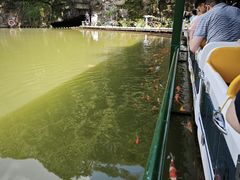 -陶祖圣境风景区
