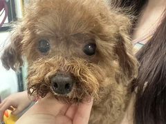-嘉馨宠物医院·CT影像转诊·心脏科·犬猫全科诊疗中心(下沙大学城院区)