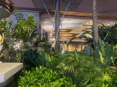 -深圳威尼斯英迪格酒店-邻芙花廊下午茶·NINFA GALLERY·蛋糕·咖啡