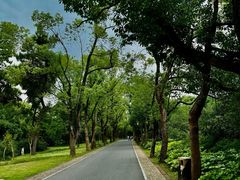 -东湖落雁景区