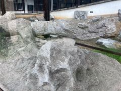 -常熟方塔园