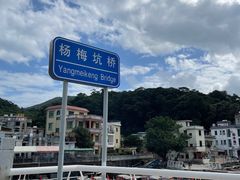 -杨梅坑