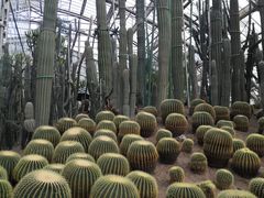-南山植物园