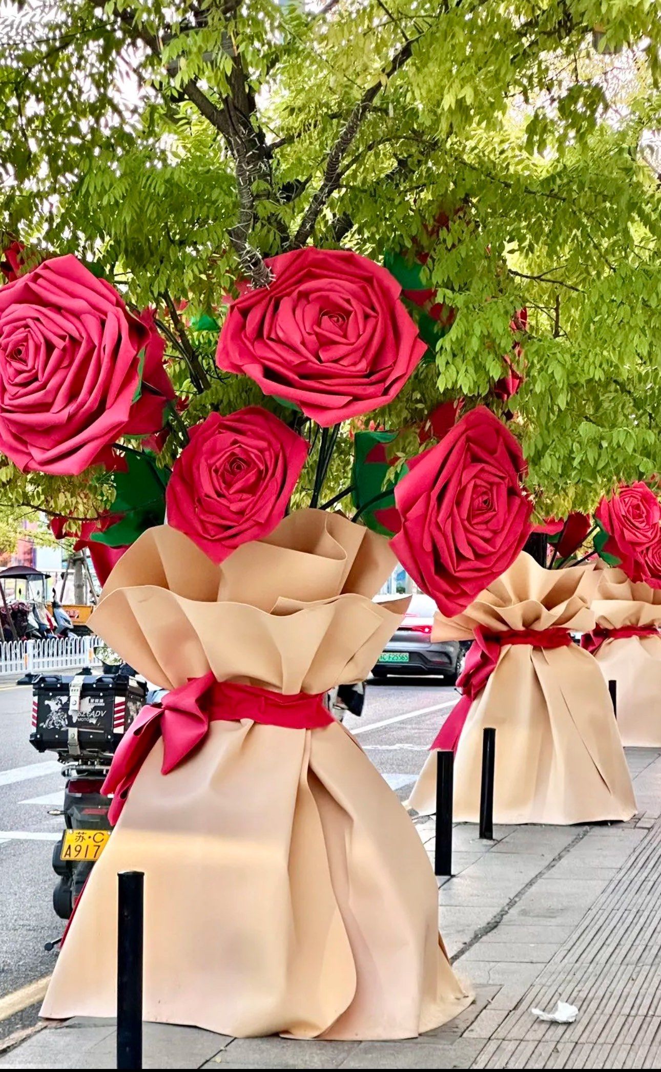 街头出现了玫瑰树