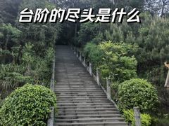 -铁山坪森林公园