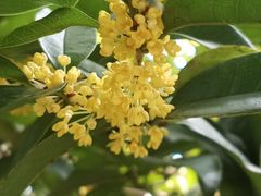 -杭州少年儿童公园