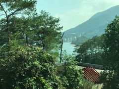 -广州市流溪河国家森林公园