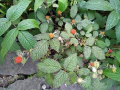 -南京金牛湖风景区