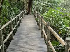 -青青世界