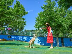 -西霞口神雕山野生动物世界