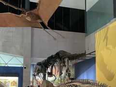 -湖南省地质博物馆