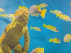 -秦皇岛新澳海底世界