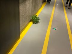 -银吉姆健身游泳(惠山万达馆)