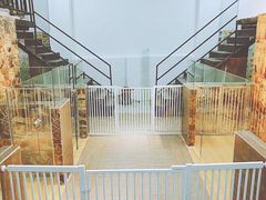 -宠物之家Pets Home 宠物寄养酒店