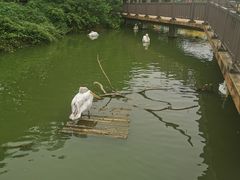 -无锡动物园·太湖欢乐园