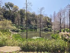 -云溪植物园