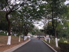 -东莞植物园