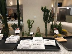 -OUR Bakery(SKP-S店)