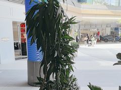 -一沙一城·岩烤牛扒(深圳首店)