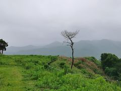 -前童古镇