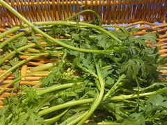 -松咖啡自助餐厅·松北香格里拉