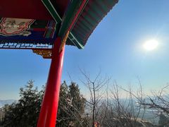 -白水寺森林公园