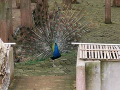 -南京金牛湖风景区