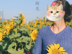 -映月湖中央公园