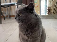 -Rabbit Cafe私房西餐甜点咖啡(栖霞路店)