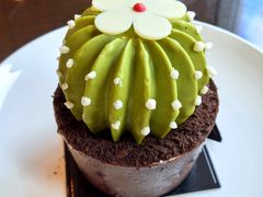 -The Lounge大堂酒廊·咖啡·沙拉·下午茶(金茂深圳JW万豪酒店)