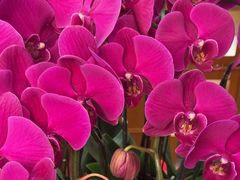 -栾氏荟(柳园店)