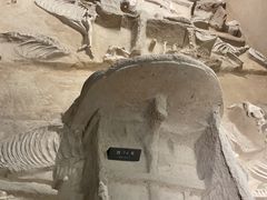 -洛阳周王城天子驾六博物馆