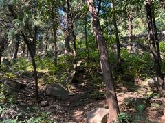 -泰山风景名胜区