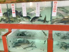 -西江河鲜·趣苑酒楼(鼎湖店)
