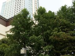 -扬州香格里拉·香宫中餐厅