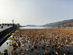 -楼外楼(西湖景区孤山路店)